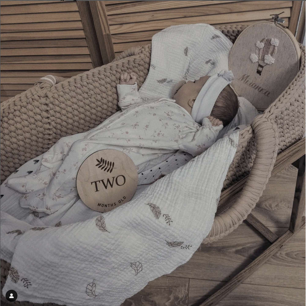 Newborn baby bassinet monthly milestone photo