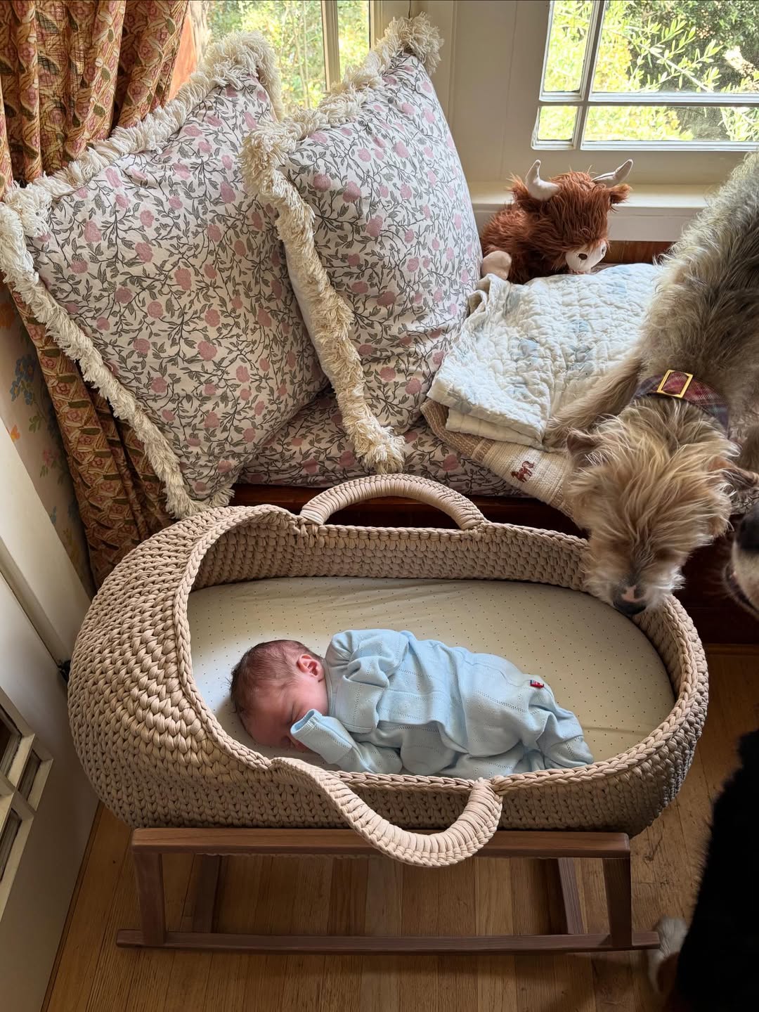 Moses Basket When Should Baby Sleep In Crib In Own Room Portable